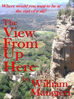 cover image of The View from Up Here